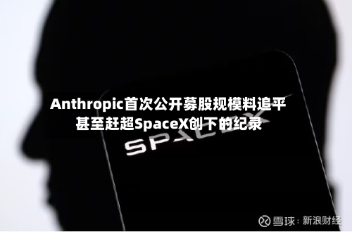 Anthropic首次公开募股规模料追平甚至赶超SpaceX创下的纪录-第3张图片