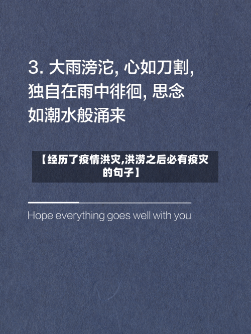 【经历了疫情洪灾,洪涝之后必有疫灾的句子】