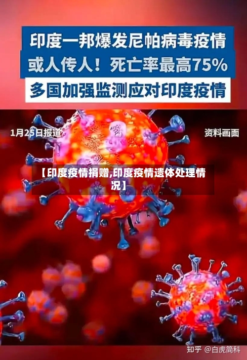【印度疫情捐赠,印度疫情遗体处理情况】-第2张图片