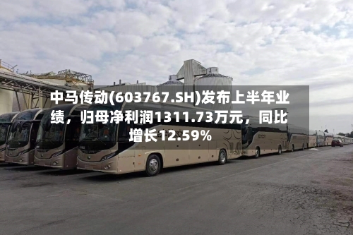中马传动(603767.SH)发布上半年业绩	，归母净利润1311.73万元，同比增长12.59%-第3张图片