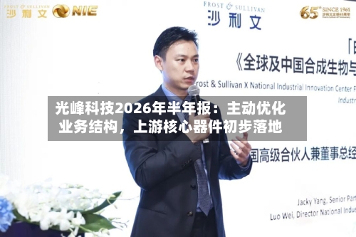 光峰科技2026年半年报：主动优化业务结构，上游核心器件初步落地-第3张图片