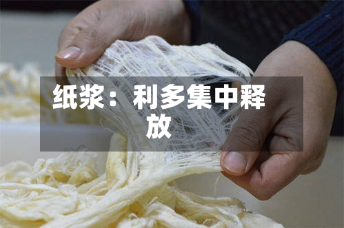纸浆:利多集中释放-第2张图片