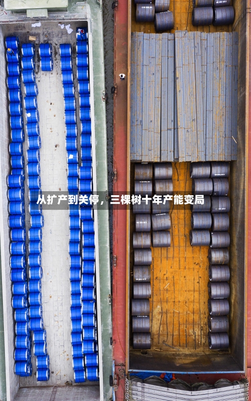 从扩产到关停，三棵树十年产能变局-第3张图片