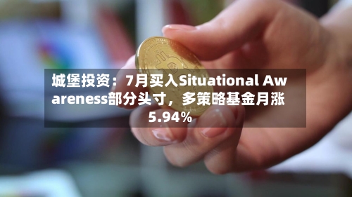 城堡投资：7月买入Situational Awareness部分头寸	，多策略基金月涨5.94%-第2张图片