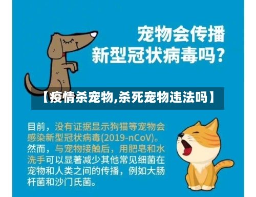 【疫情杀宠物,杀死宠物违法吗】-第2张图片