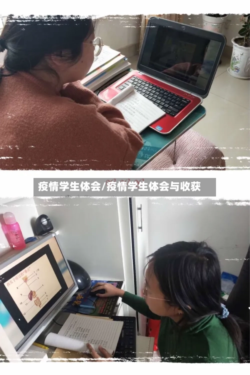 疫情学生体会/疫情学生体会与收获