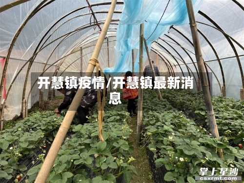 开慧镇疫情/开慧镇最新消息-第3张图片