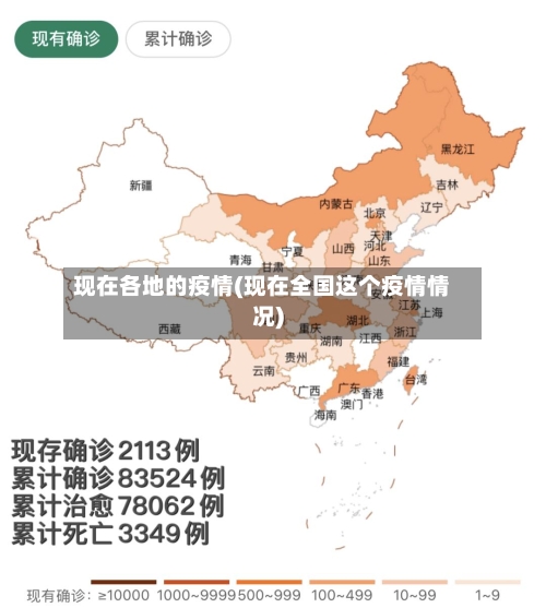 现在各地的疫情(现在全国这个疫情情况)