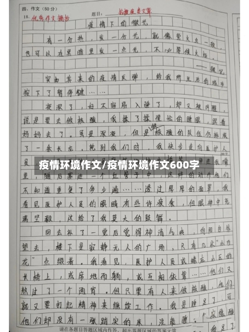 疫情环境作文/疫情环境作文600字