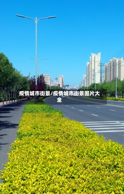 疫情城市街景/疫情城市街景图片大全