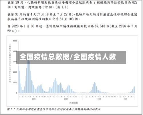 全国疫情总数据/全国疫情人数-第3张图片