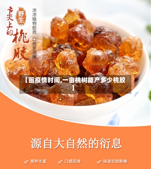 【画疫情时间,一亩桃树能产多少桃胶】-第2张图片