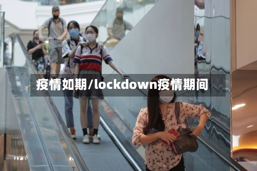 疫情如期/lockdown疫情期间-第2张图片