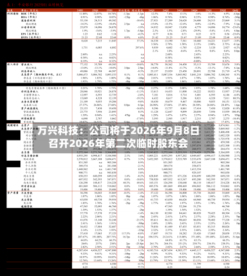 万兴科技：公司将于2026年9月8日召开2026年第二次临时股东会-第3张图片