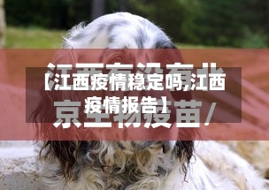 【江西疫情稳定吗,江西疫情报告】-第3张图片