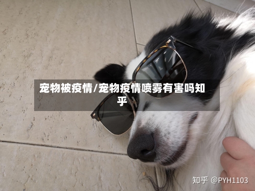 宠物被疫情/宠物疫情喷雾有害吗知乎-第2张图片