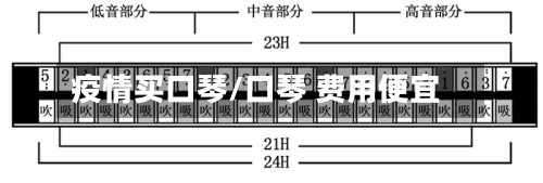 疫情买口琴/口琴 费用便宜-第2张图片