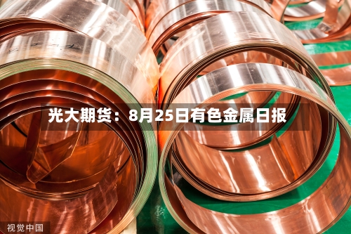 光大期货:8月25日有色金属日报-第2张图片