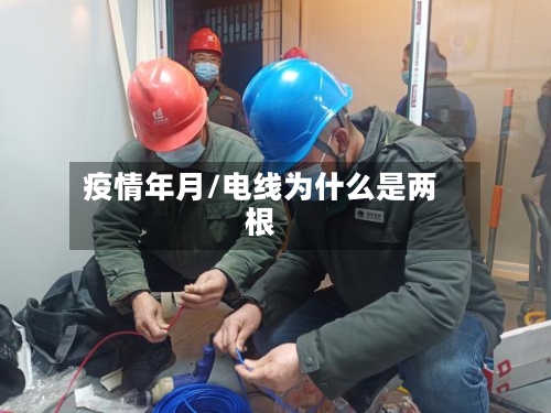 疫情年月/电线为什么是两根