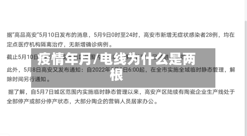 疫情年月/电线为什么是两根-第2张图片