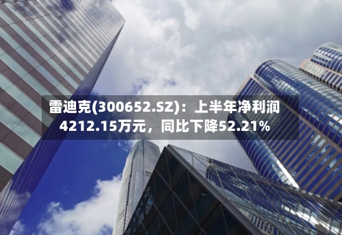 雷迪克(300652.SZ)：上半年净利润4212.15万元，同比下降52.21%-第2张图片