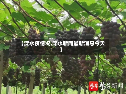 【溧水疫情况,溧水新闻最新消息今天】-第2张图片