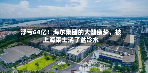 浮亏64亿！海尔集团的大健康梦，被上海莱士浇了盆冷水-第2张图片