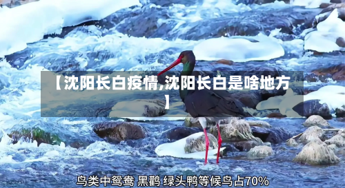 【沈阳长白疫情,沈阳长白是啥地方】