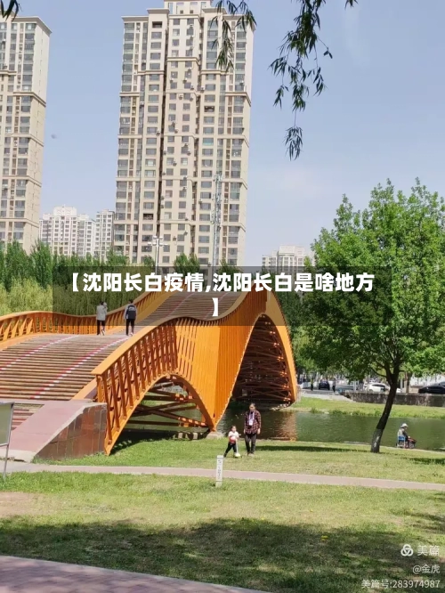 【沈阳长白疫情,沈阳长白是啥地方】-第2张图片