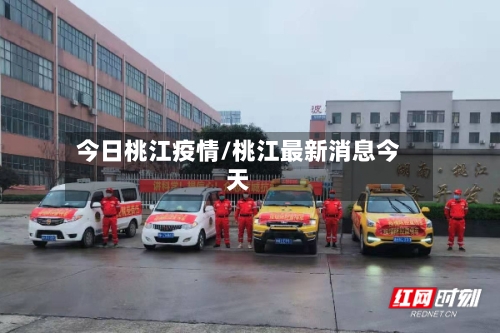 今日桃江疫情/桃江最新消息今天-第2张图片