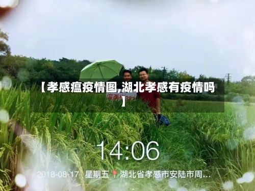 【孝感瘟疫情图,湖北孝感有疫情吗】