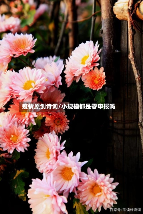 疫情原创诗词/小规模都是零申报吗
