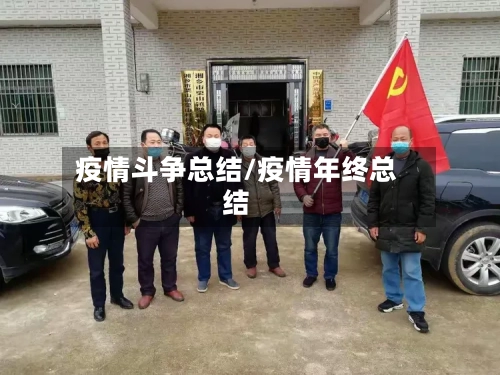 疫情斗争总结/疫情年终总结-第3张图片