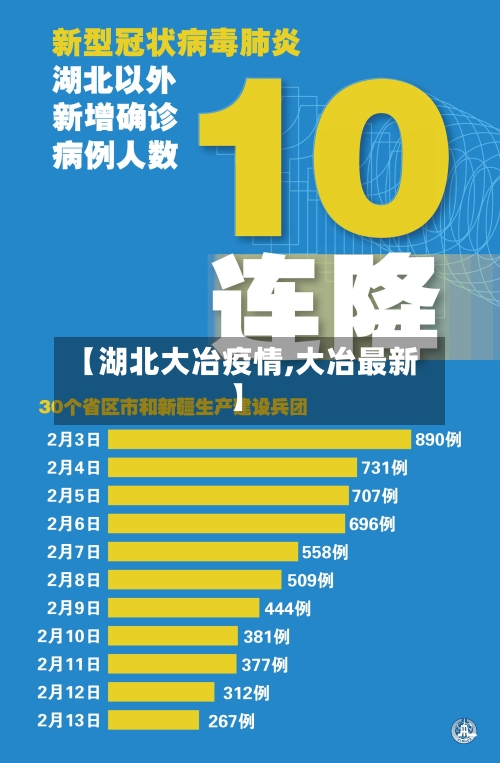 【湖北大冶疫情,大冶最新】