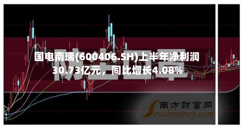 国电南瑞(600406.SH)上半年净利润30.73亿元	，同比增长4.08%-第2张图片