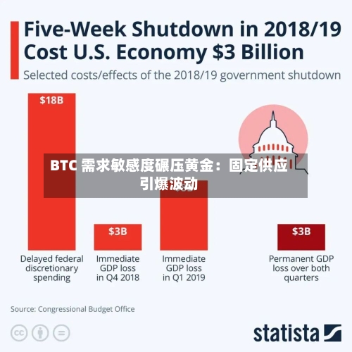 BTC 需求敏感度碾压黄金:固定供应引爆波动-第2张图片