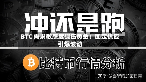 BTC 需求敏感度碾压黄金:固定供应引爆波动-第3张图片