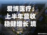 爱博医疗：上半年营收稳健增长 境外业务势能释放 全球化布局持续落地