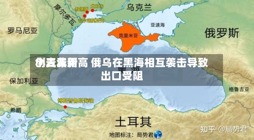 小麦费用创三年新高 俄乌在黑海相互袭击导致出口受阻-第3张图片
