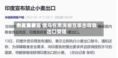 小麦费用创三年新高 俄乌在黑海相互袭击导致出口受阻-第2张图片