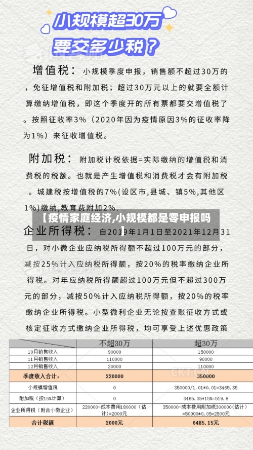 【疫情家庭经济,小规模都是零申报吗】-第2张图片