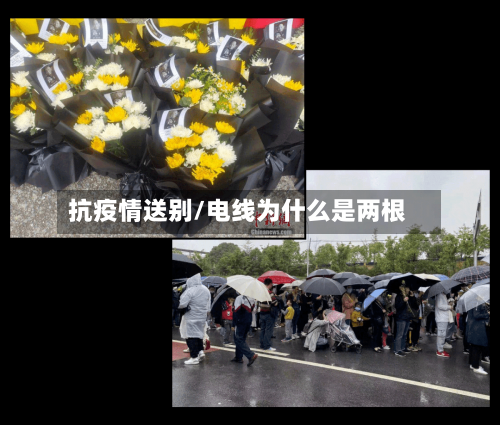 抗疫情送别/电线为什么是两根-第2张图片