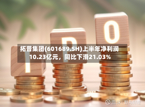拓普集团(601689.SH)上半年净利润10.23亿元，同比下滑21.03%-第2张图片