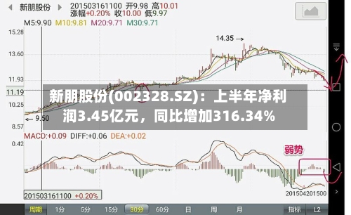 新朋股份(002328.SZ)：上半年净利润3.45亿元，同比增加316.34%-第2张图片