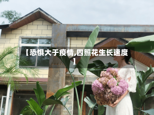 【恐惧大于疫情,四照花生长速度】