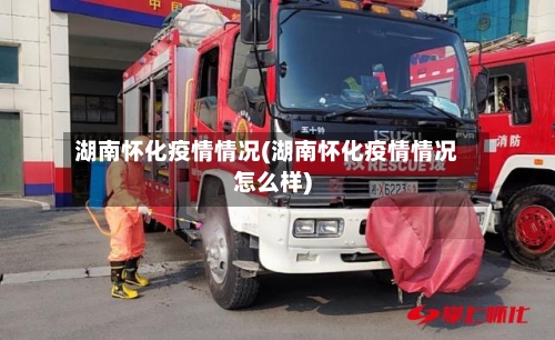 湖南怀化疫情情况(湖南怀化疫情情况怎么样)