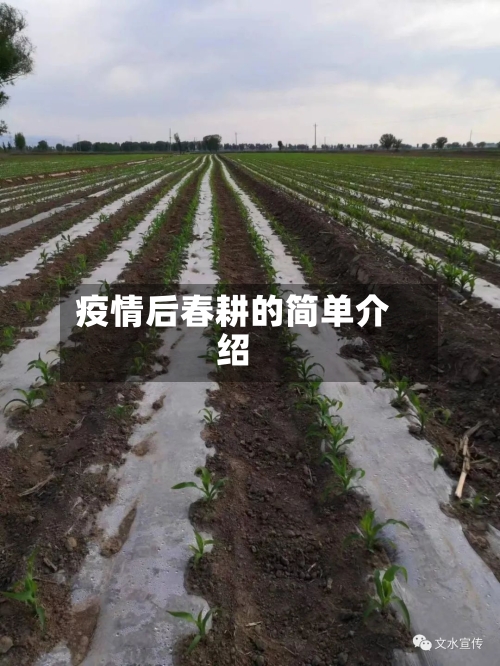 疫情后春耕的简单介绍