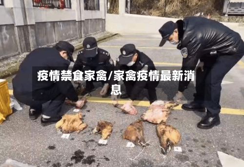 疫情禁食家禽/家禽疫情最新消息