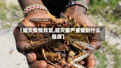 【蝗灾疫情频繁,蝗灾最严重能到什么程度】