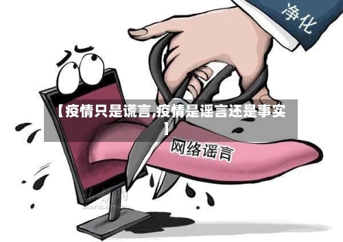 【疫情只是谎言,疫情是谣言还是事实】-第2张图片